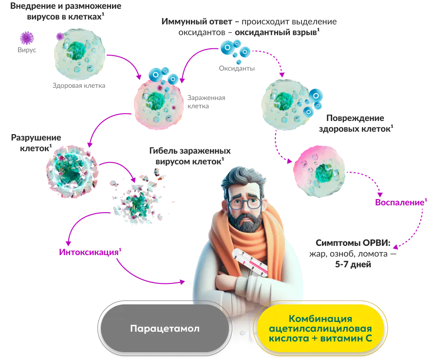 Схема: вирус -> заражение клеток -> иммунный ответ -> воспаление, интоксикация -> симптомы ОРВИ. Лечение: парацетамол, ацетилсалициловая кислота + витамин C